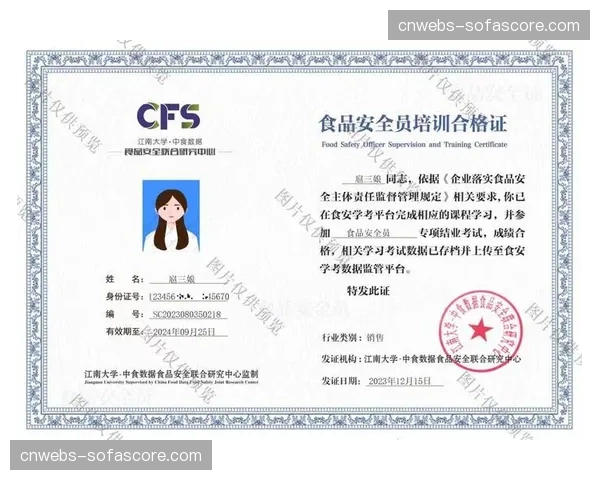 背景调查：德甲裁判的选拔、培训与考核全流程揭秘