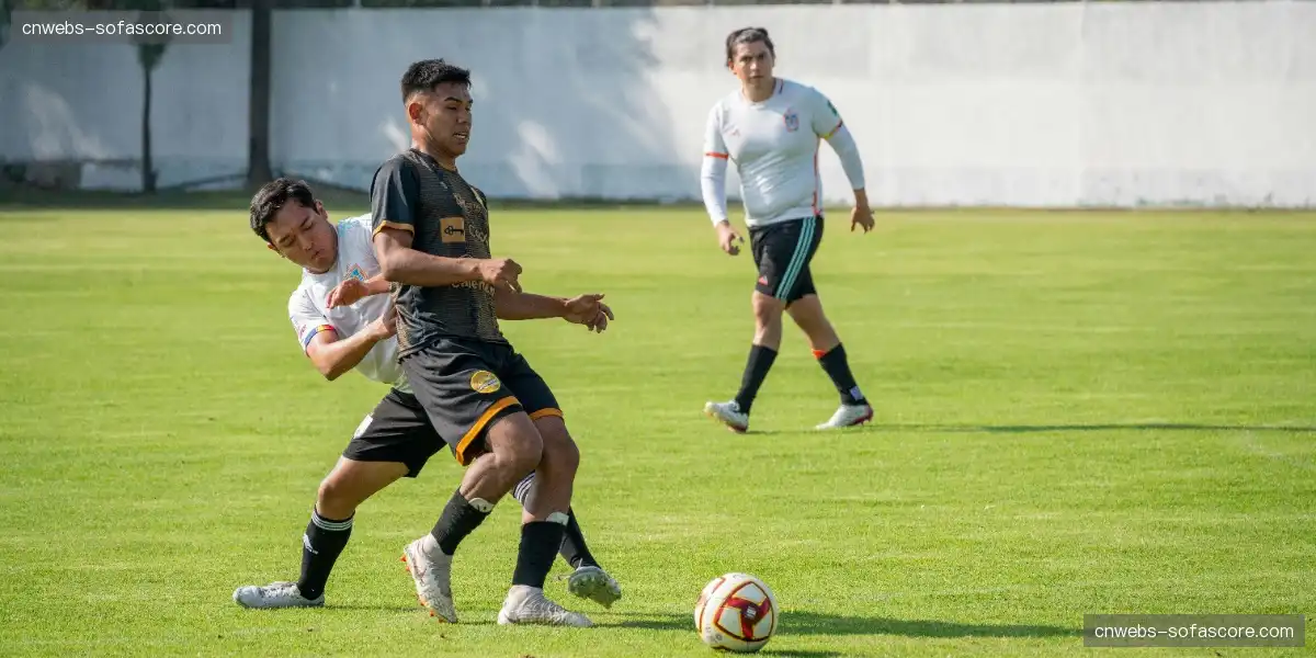 📱 多屏无缝切换观赛，流畅体验随心所欲，观赛体验无可挑剔！🔄